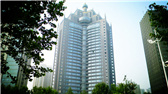 洛陽(yáng)開(kāi)元礦業(yè)集團(tuán)有限公司，始成立于2006年，主營(yíng)業(yè)務(wù)涵蓋礦產(chǎn)品貿(mào)易、礦山開(kāi)發(fā)、酒店服務(wù)、房地產(chǎn)開(kāi)發(fā)和金融投資等，集團(tuán)位于洛陽(yáng)市開(kāi)元大道世貿(mào)中心；中國(guó)民主建國(guó)會(huì)會(huì)員、青年企業(yè)家許明月先生是公司創(chuàng)始人和實(shí)際控制人，目前任洛陽(yáng)開(kāi)元礦業(yè)集團(tuán)有限公司董事長(zhǎng)兼總經(jīng)理。